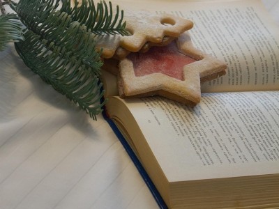 Bog med julekage og grangren